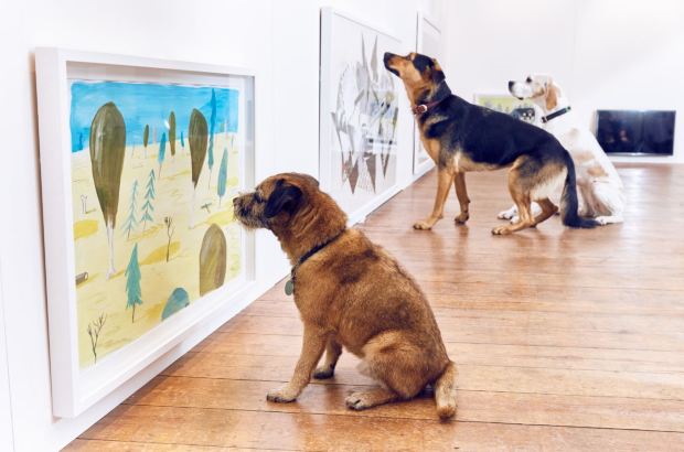 專為狗狗設計的當代藝術展。圖片取自artnet。.jpg