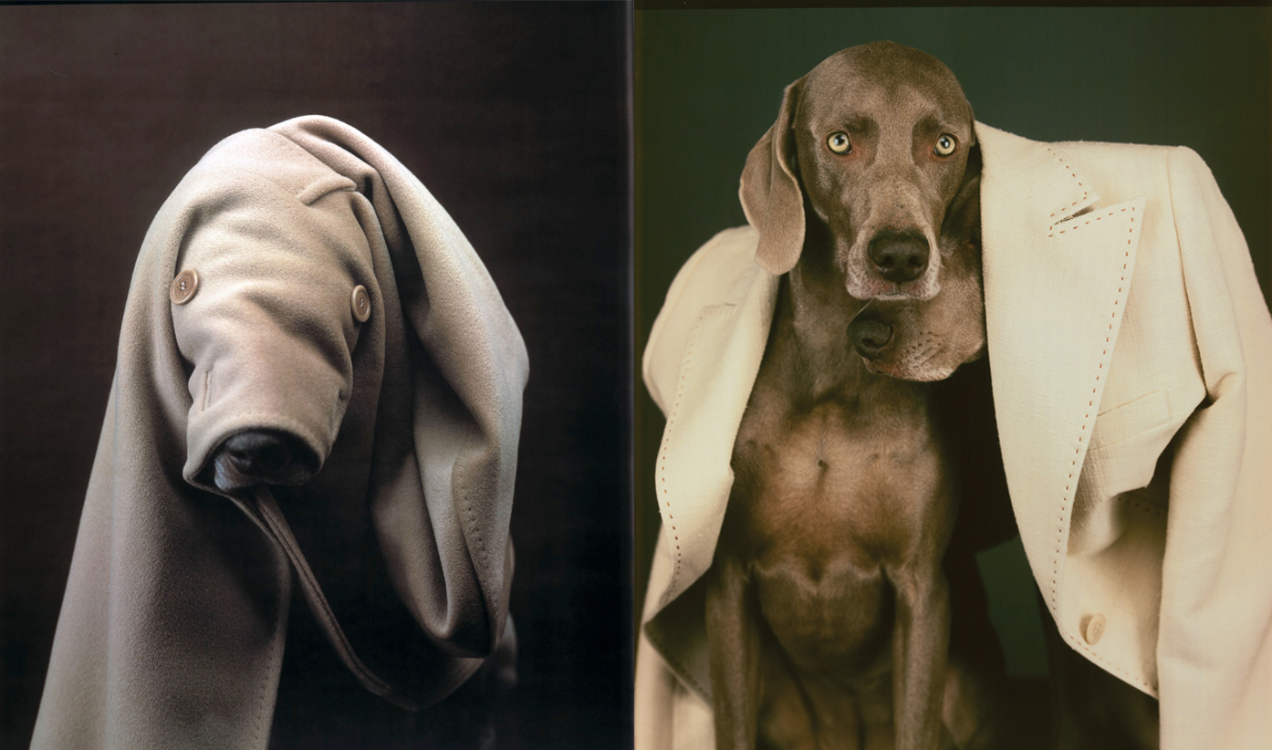 攝影師威廉魏格曼William_Wegman再度為愛犬披上大衣　攜手時尚品牌Max_Mara在美舉辦攝影展_mix2.jpg