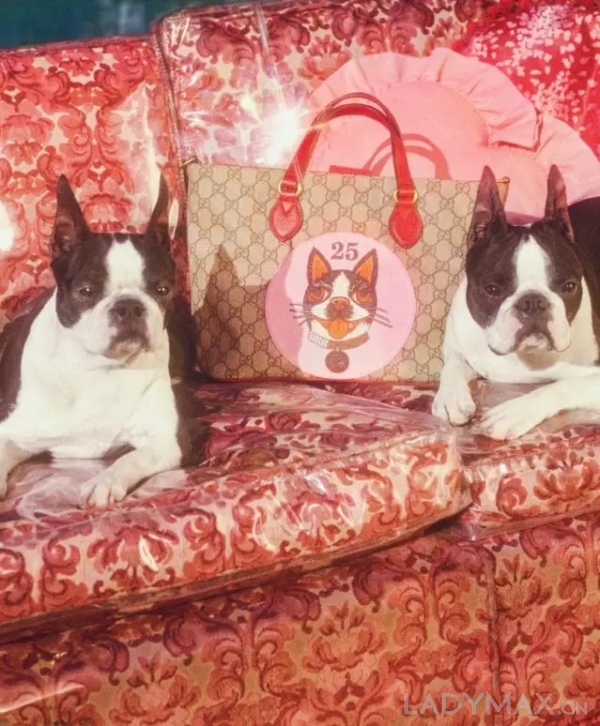 奢侈品牌中國新年怎麼做？_Gucci靠這「兩條狗」再次領跑_(12).jpg