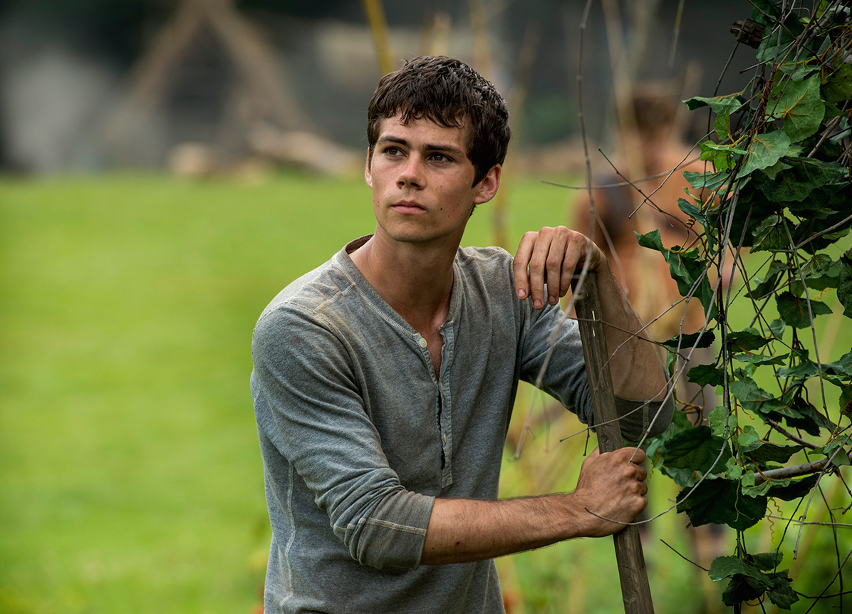 dylan-as-thomas-in-the-maze-runner-dylan-obrien-37612702-1200-10-122389.png