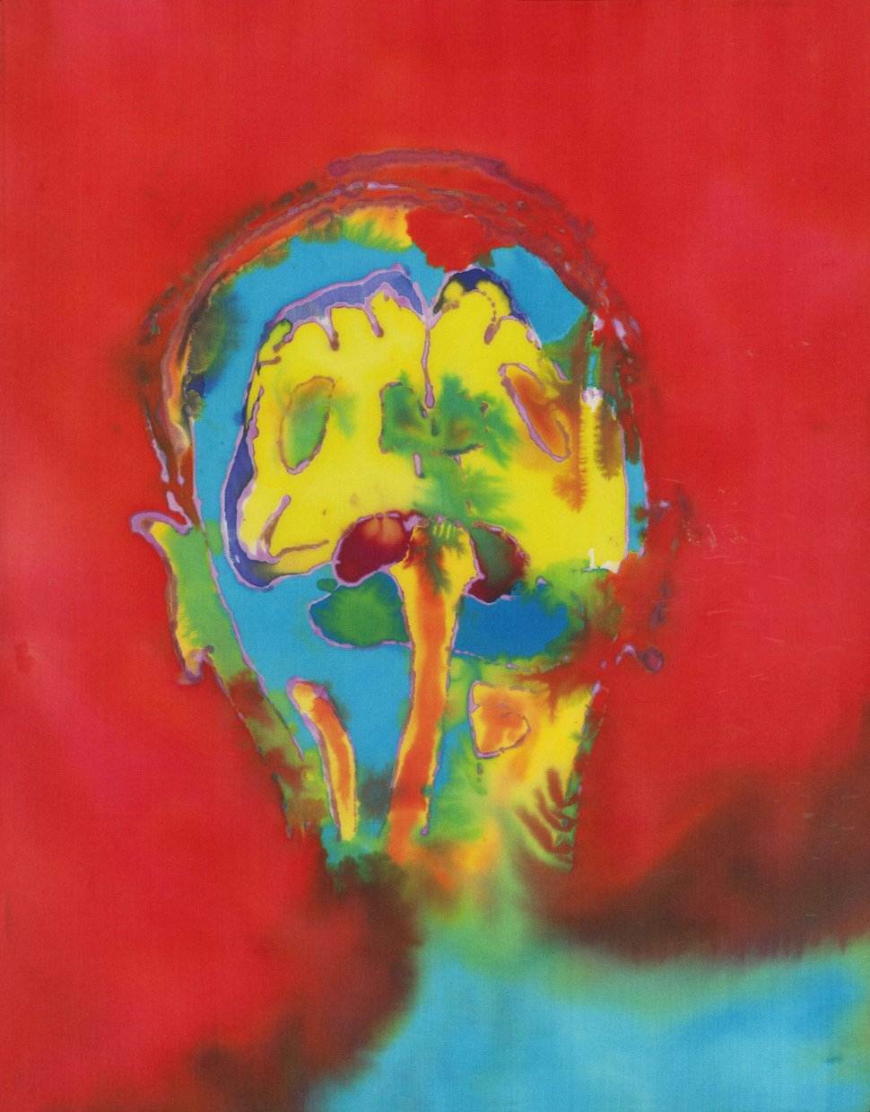 莉莎白．詹姆森《藝術家腦部自畫像2》。圖／取自《哈芬登郵報》。.jpg