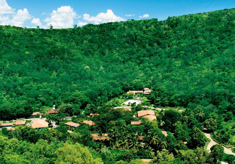 真正的偉大！巴西夫婦花20年種樹造林，讓荒地恢復生機05.jpg