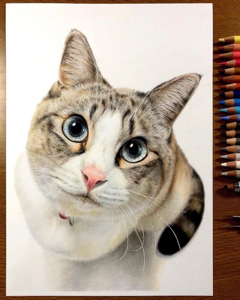 色鉛筆畫出來的照片！日本藝術家工藤陽輝的超寫實貓咪繪畫(10).jpg