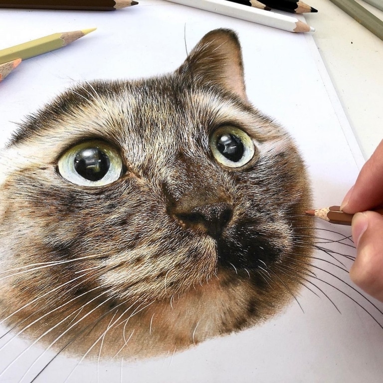 色鉛筆畫出來的照片！日本藝術家工藤陽輝的超寫實貓咪繪畫(4).jpg