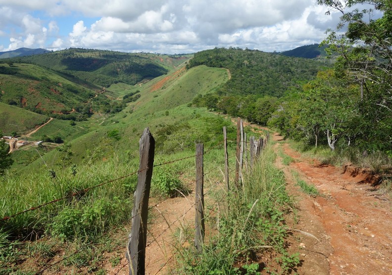 真正的偉大！巴西夫婦花20年種樹造林，讓荒地恢復生機03.jpg