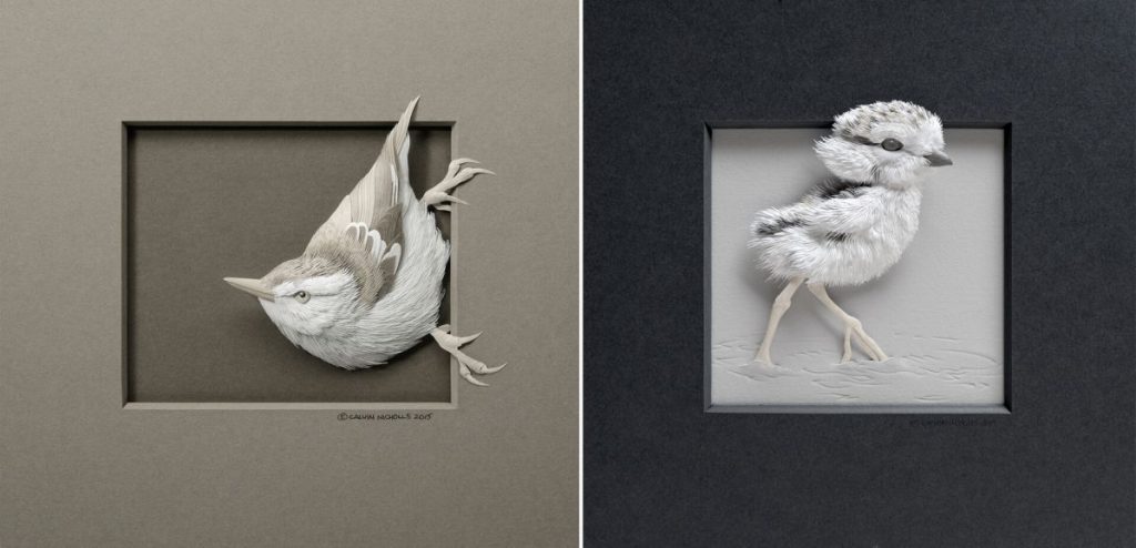 誘人撫摸的豐美羽翼：加拿大紙雕藝術家的白色動物園(6).jpg