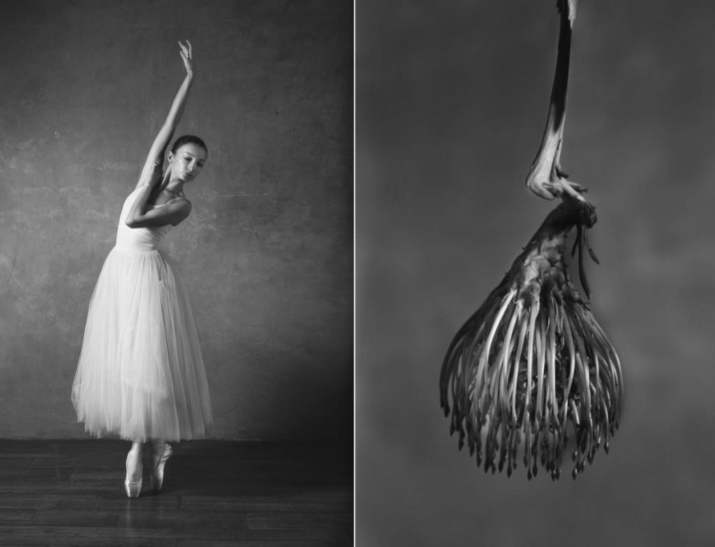 芭蕾舞者如花翩然綻放：俄攝影師Yulia_Artemyeva的巧心鏡頭(7).jpg