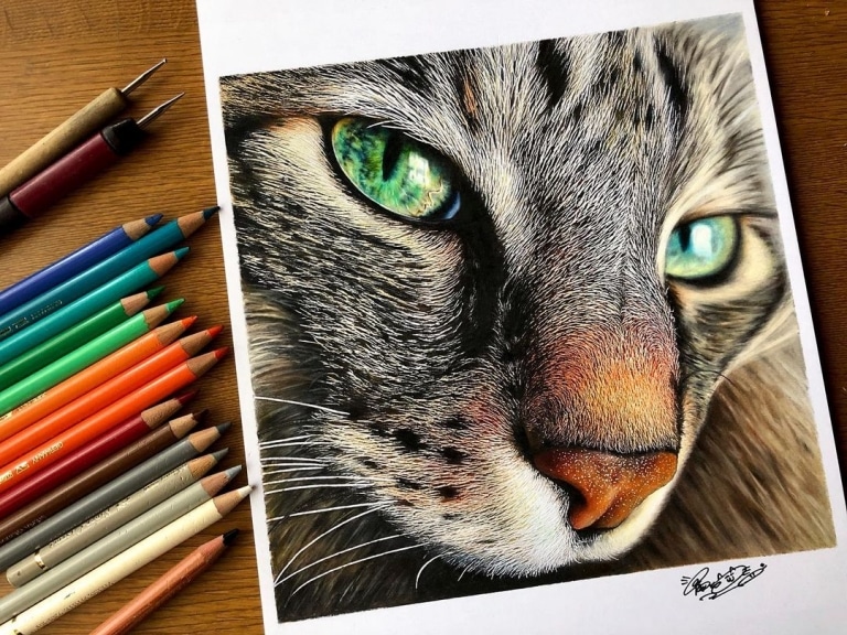 色鉛筆畫出來的照片！日本藝術家工藤陽輝的超寫實貓咪繪畫(9).jpg