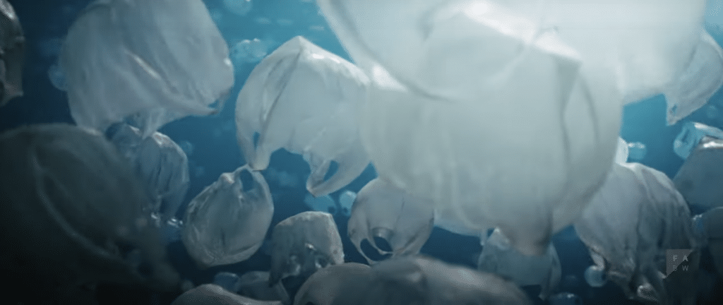 氣泡紙成河豚：_學生奧斯卡獎_短片裡的生態輓歌(3).png