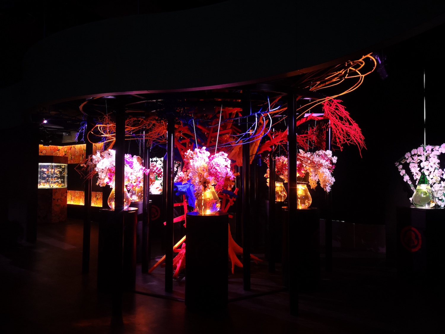 沈浸日本江戶風華！從東京到台北_Art_Aquarium金魚藝術展感受夢幻水世界_00003.jpg