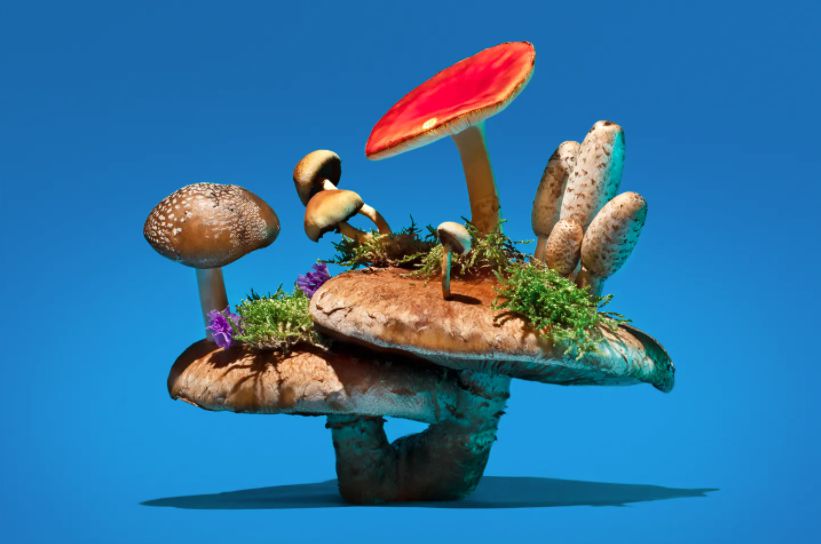 各異其趣：食物攝影師_Phyllis_Ma_鏡頭下的奇幻蘑菇世界(2).jpg