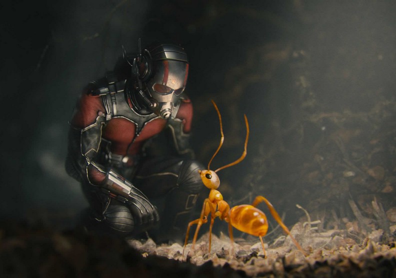 保羅路德：讓《蟻人》更迷人的男人2.jpg