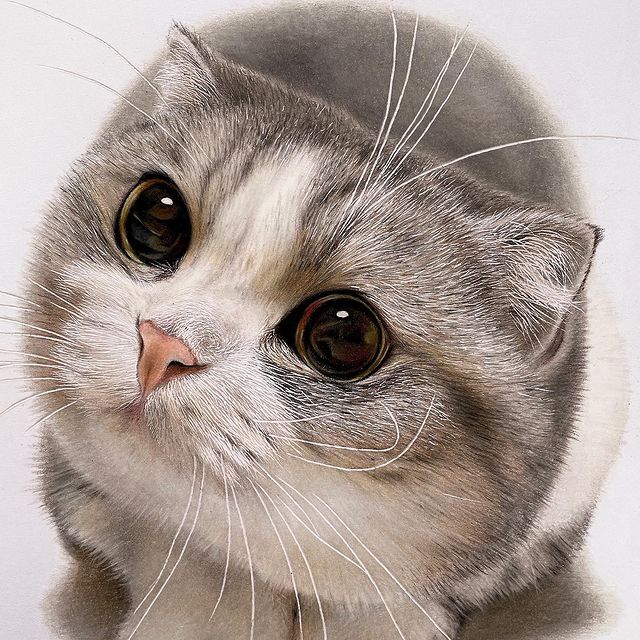 色鉛筆畫出來的照片！日本藝術家工藤陽輝的超寫實貓咪繪畫(1).jpg