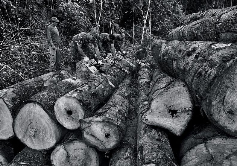 真正的偉大！巴西夫婦花20年種樹造林，讓荒地恢復生機02.jpg