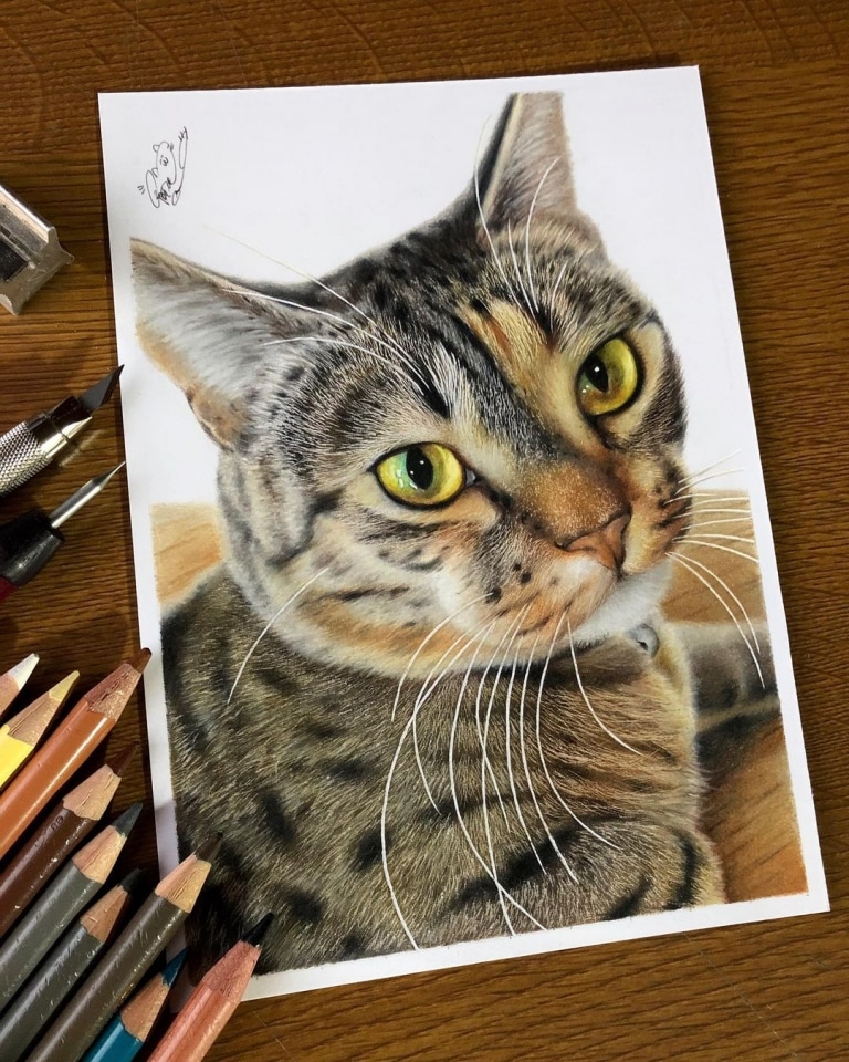 色鉛筆畫出來的照片！日本藝術家工藤陽輝的超寫實貓咪繪畫(8).jpg