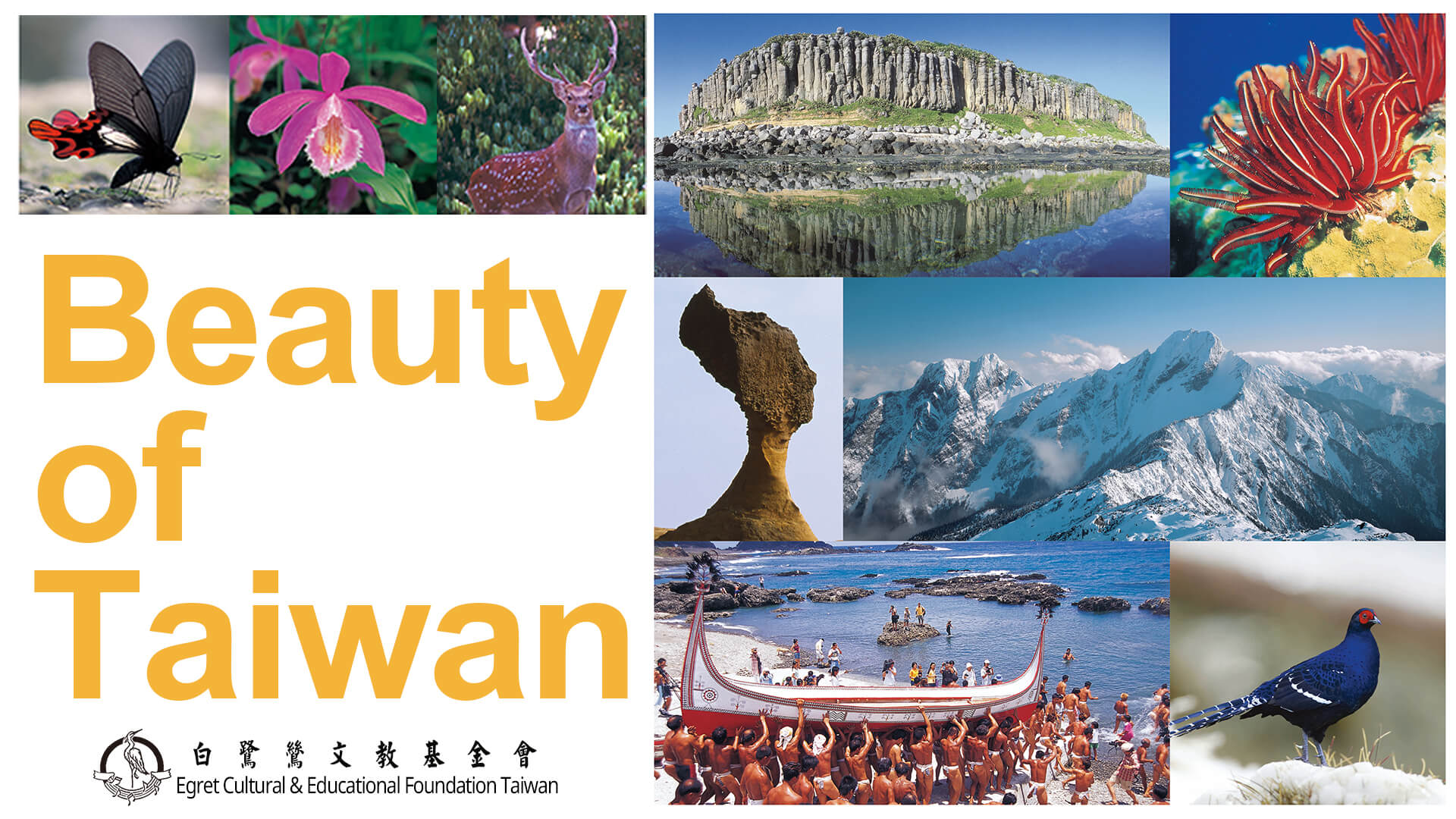 生動台灣_主視覺一_Beauty_of_Taiwan_copy.jpg