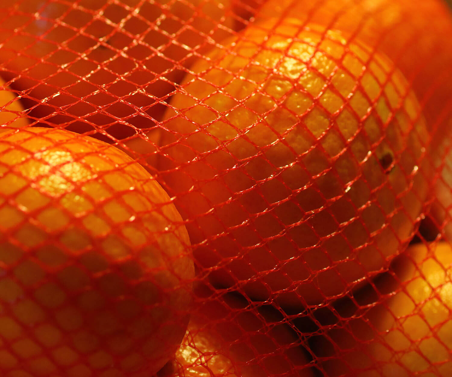 為何橘子要放入紅網袋？條紋變化能讓服裝更白？設計師應該懂的「視覺騙術」2.jpg