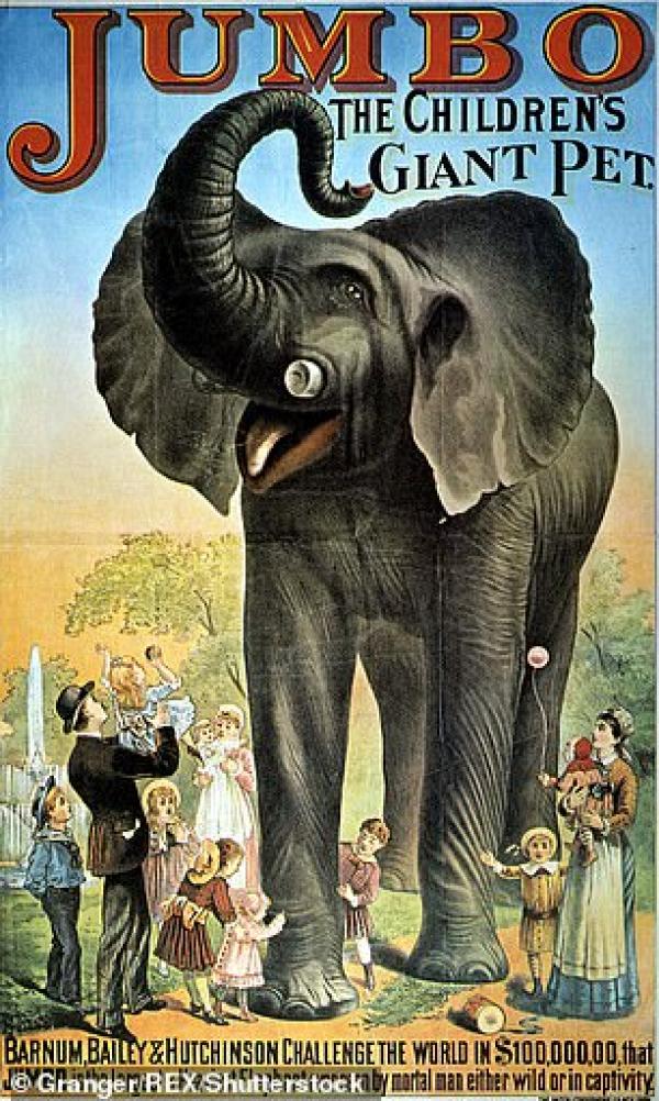 太悲傷！迪士尼《小飛象》真正歷史原型　被譽為「世界上最著名大象」卻度過最悽慘的一生⋯_(6).jpg