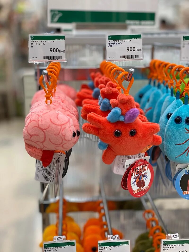 超魔性！日本商家販售「人類全身器官」娃娃獵奇到爆紅，首先你需要一個腦子嗎？(3).jpg