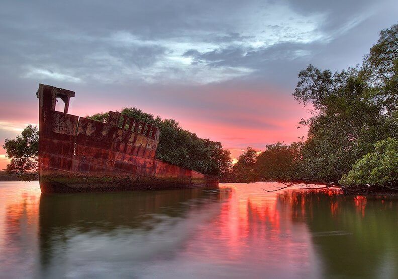 史上最美的「漂浮森林」！澳洲百年棄船成了自然孕育地-儼然遺世獨立般的極致絕美(5).jpg