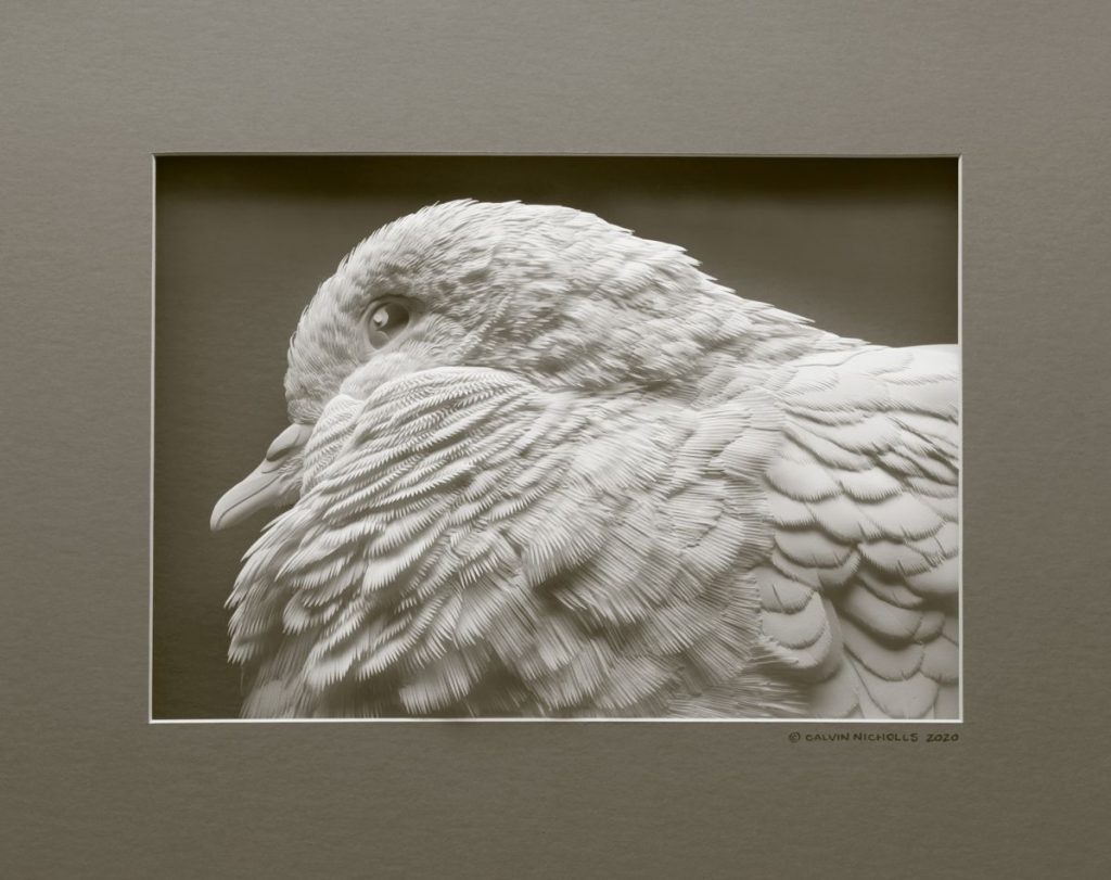 誘人撫摸的豐美羽翼：加拿大紙雕藝術家的白色動物園(2).jpg