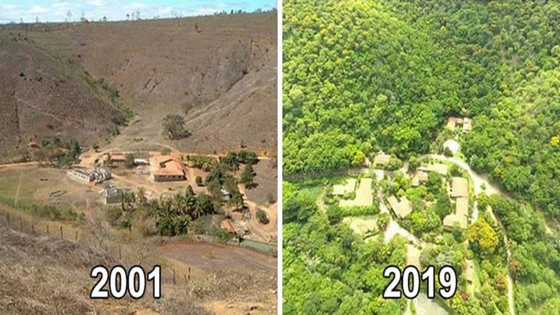 真正的偉大！巴西夫婦花20年種樹造林，讓荒地恢復生機06.jpg