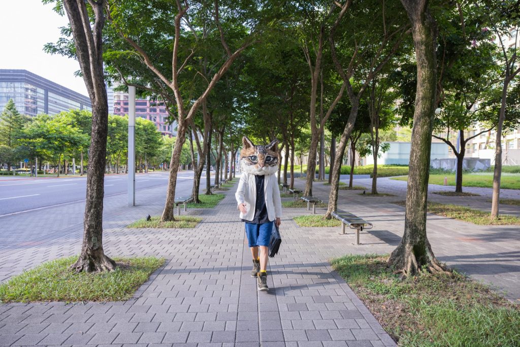 2023臺北白晝之夜_起義吧！貓咪佔領市府_用藝術行動探索城市之愛_nuit-blanche-2023-0915-KIN225-5-1024x683.jpg