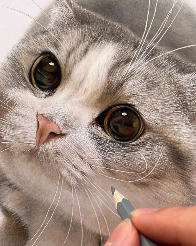 色鉛筆畫出來的照片！日本藝術家工藤陽輝的超寫實貓咪繪畫(2).jpg
