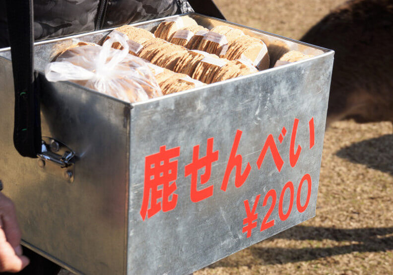遊客驟減、沒鹿餅可吃！日本奈良鹿群異常消瘦-沒了人為干擾，梅花鹿開始正常自然飲食(6).jpg